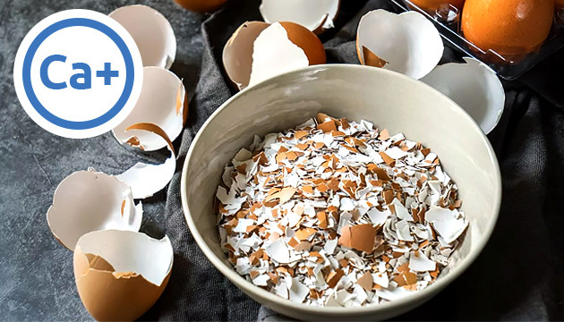 Яичная скорлупа