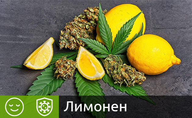 Терпен лимонен