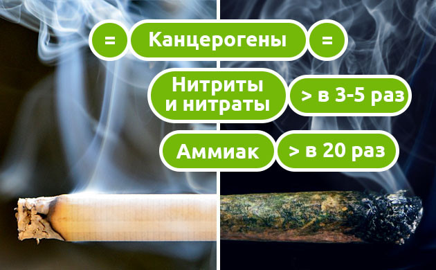 Сравнение вредности дыма сигарет и марихуаны