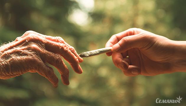 Модели использования марихуаны разными поколениями