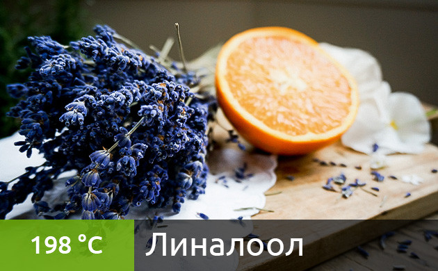 Оптимальная температура для вейпинга линалоола (198 °C)