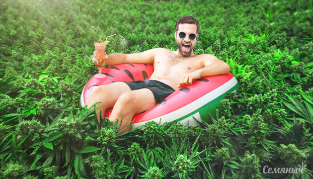 Море зелени