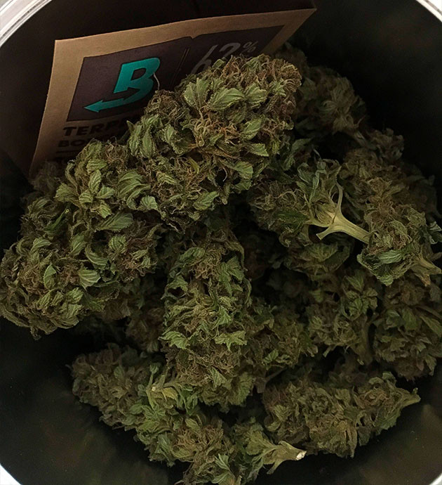 Шишки после сушки