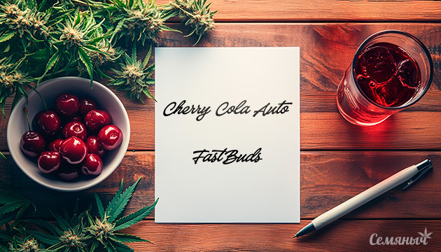 Гроурепорт Cherry Cola Auto от сидбанка FastBuds