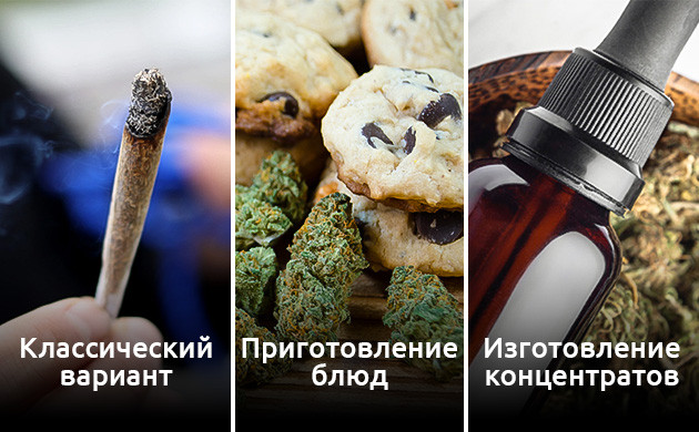 Применение шишкам попкорна