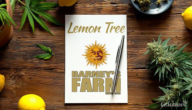 Гроурепорт сорта Lemon Tree от Barney's Farm