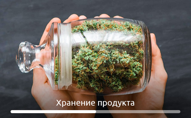 Шишки в стеклянной банке