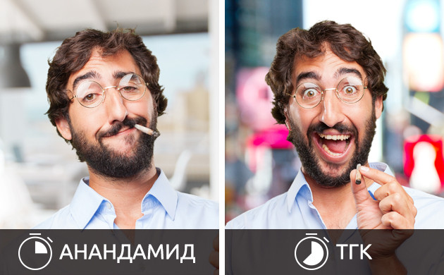 Воздействие анандамида и ТГК