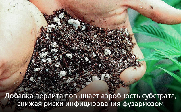 Добавка перлита в почву