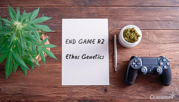 Гроурепорт сорта End Game R2 от Ethos Genetics