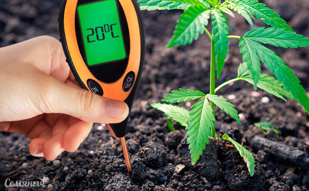 Измерение температуры почвы