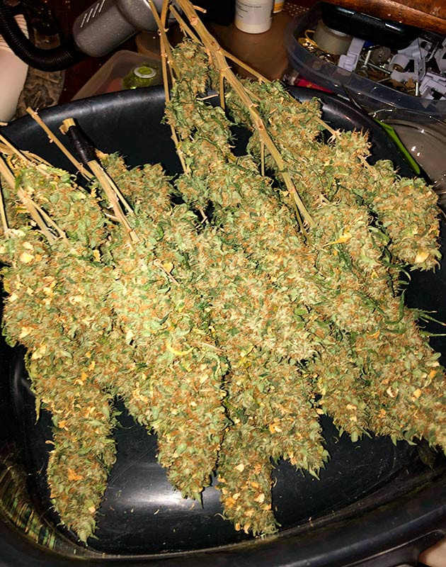 Микроклимат в новой палатке: температура, влажность и освещение