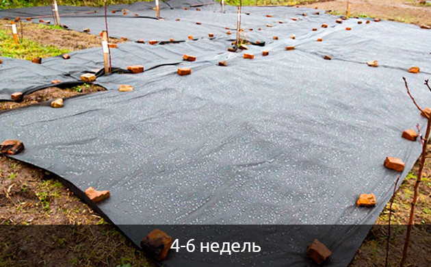 Стерилизации земли в аутдоре