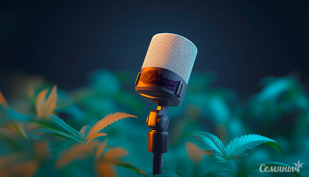 Интервью с гендиром Delicious Seeds