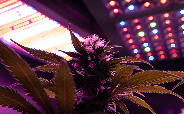 Ионизирующее воздействие высокочастотного света