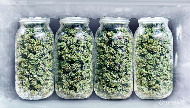 Сухой урожай в банках в морозилке