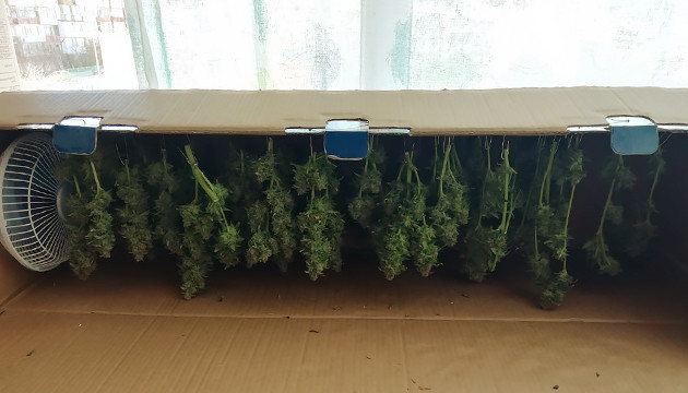 Сушка урожая