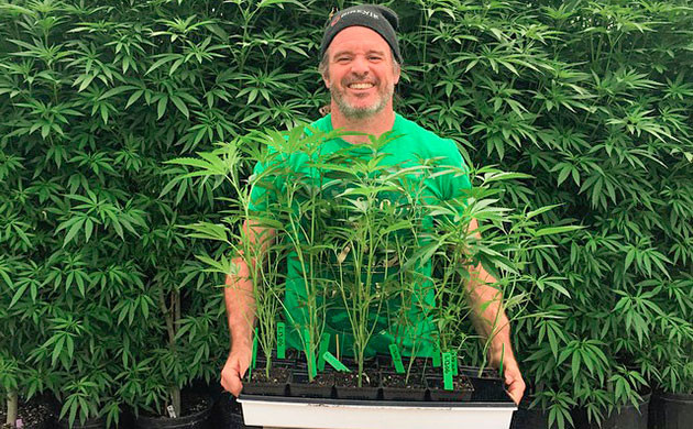 Кевин Джодри