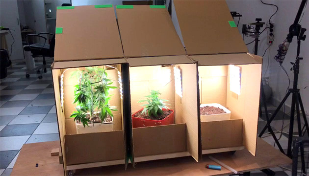 Гроубокс из картона