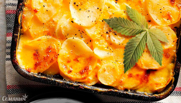 Каннабиноидный картофельный гратен