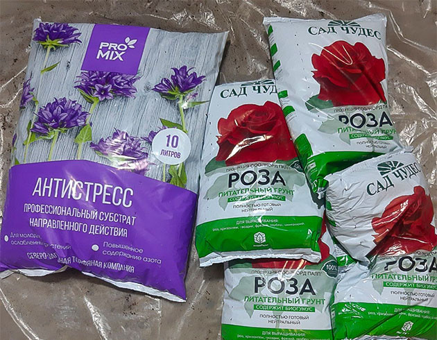 Световые условия для Critical Orange Punch Auto