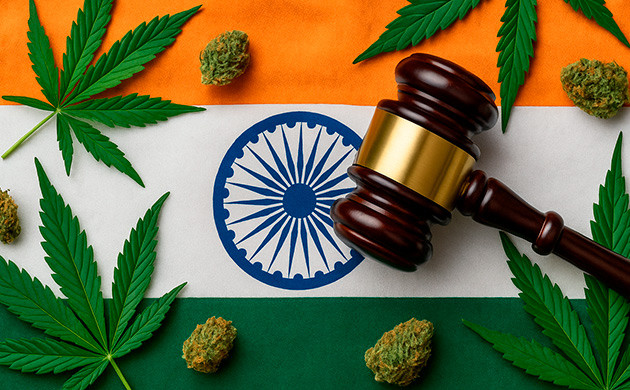 Марихуана в Индии: правда и мифы