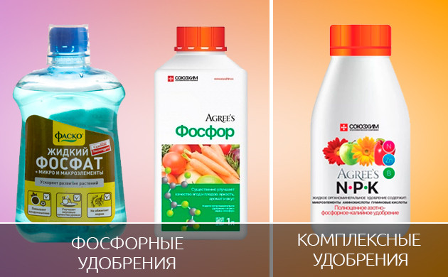 Фаско Фосфат и Фосфор от Agree’s