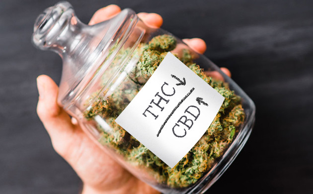 Сорта с высоким уровнем КБД