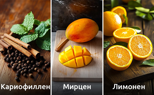 Мирцен: влияние на аромат и воздействие