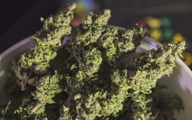 Сбор урожая конопли