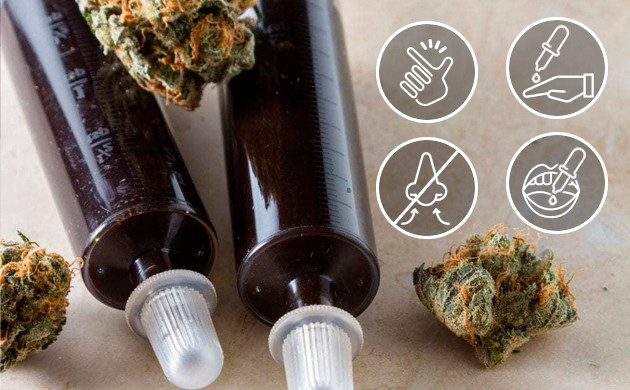 Польза масла RSO