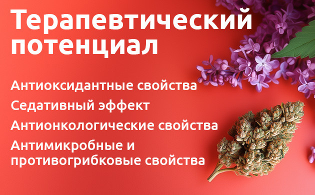 Терпинолен: медицинские применения