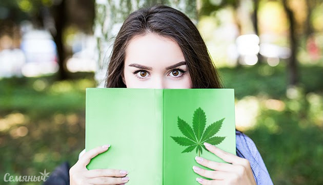 Факты о марихуане