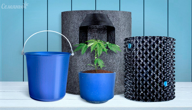 Горшки для выращивания