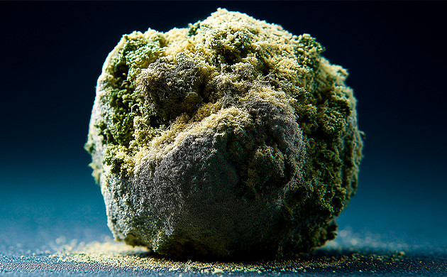 Мощные гибриды шишек и концентратов