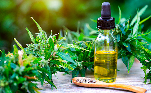 Ежедневное применение КБД-масла