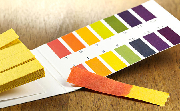 Определение pH почвы лакмусовыми бумажками