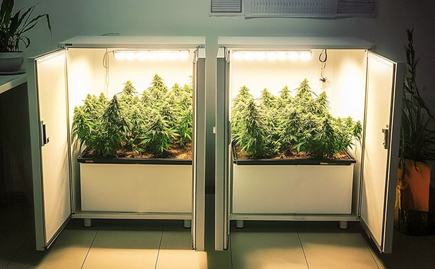 Гроубокс из мебели