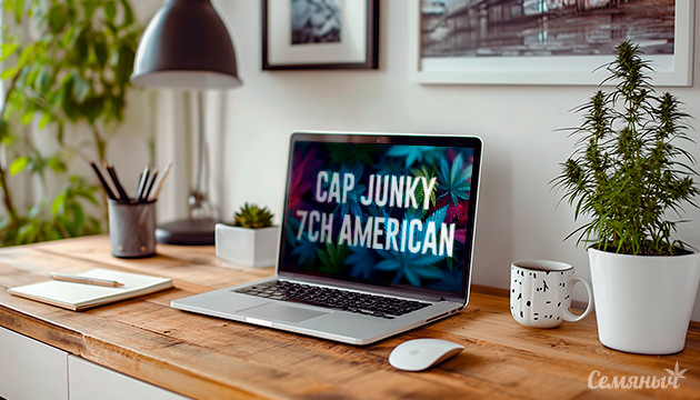 Гроурепорт сорта Cap Junky от сидбанка 7CH American