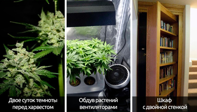 Полезные советы от гроверов