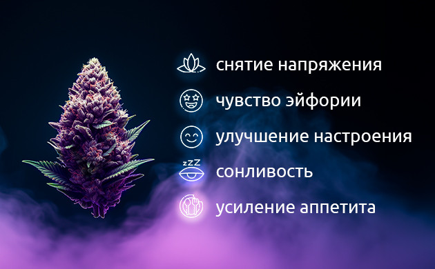 Расслабляющий эффект Blueberry