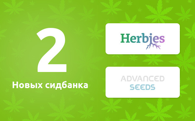 Новинки Herbies Seeds и Advanced Seeds