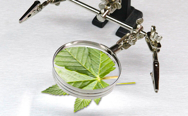 Ручные и ювелирные лупы для марихуаны