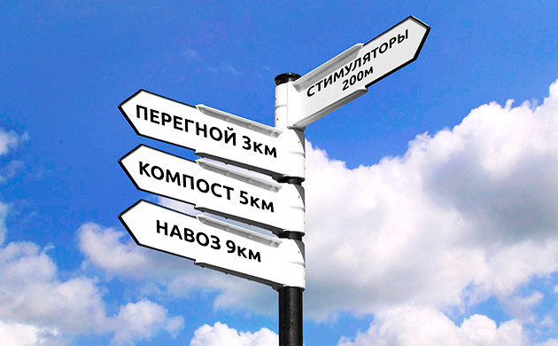 Цветение конопли без стимуляторов