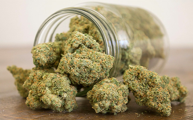 Стеклянная банка с шишками марихуаны