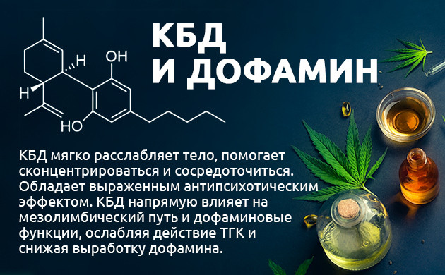 Влияние КБД на уровень дофамина