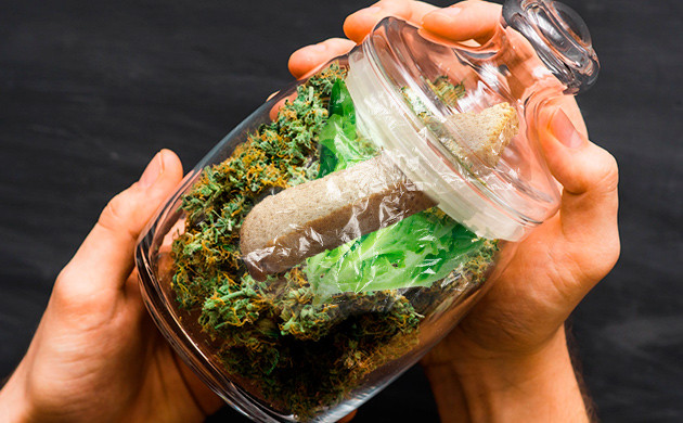 Герметичный контейнер с соцветиями, салатом и хлебом