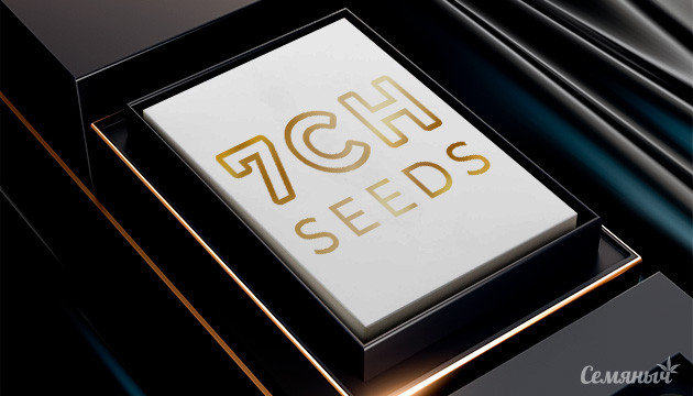 Эксклюзивные семки от 7CH Seeds