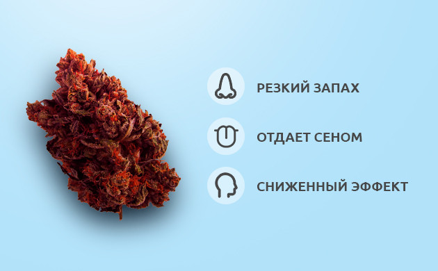 Характеристики коричневых соцветий