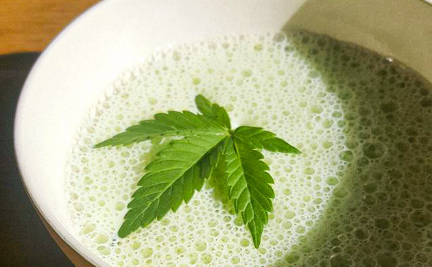 Молоко и конопля